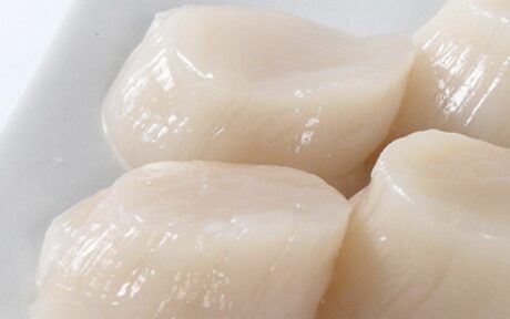 Japanese Scallops