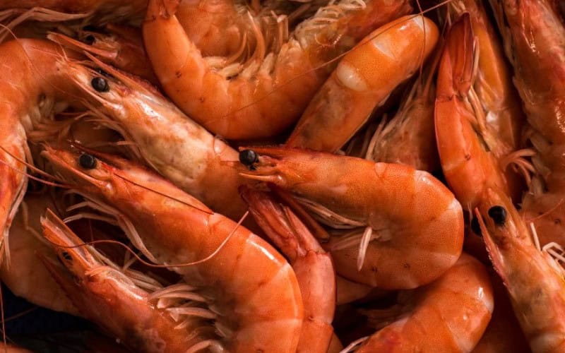 Prawn Recipes