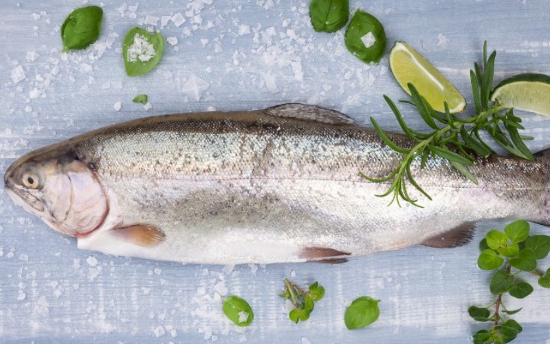 Investigating the Best Frozen Fish for Weight reduction: An Exhaustive  Aide. Top 10 Best Fish for Weight, by health 4 you, Feb, 2024