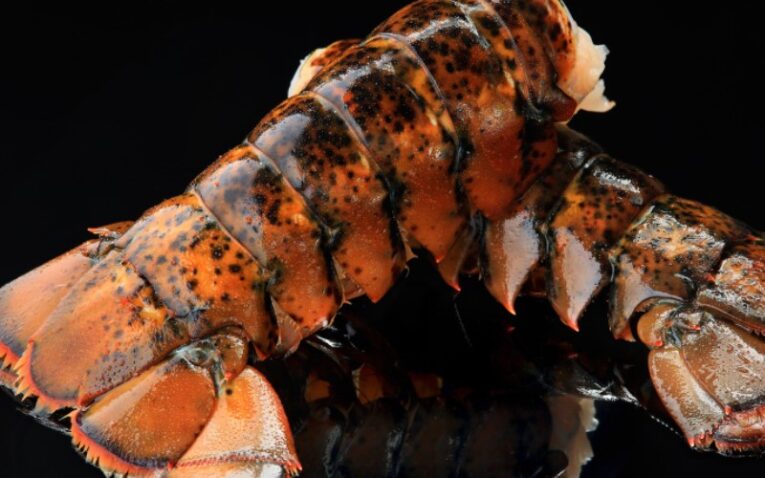 Lobster Tails Culinary