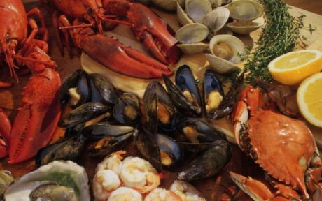 a close-up of seafood