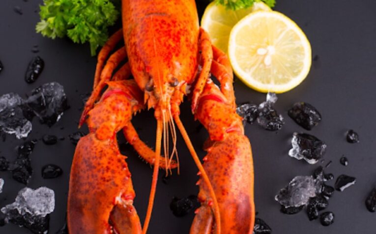 Whole Cooked Lobster