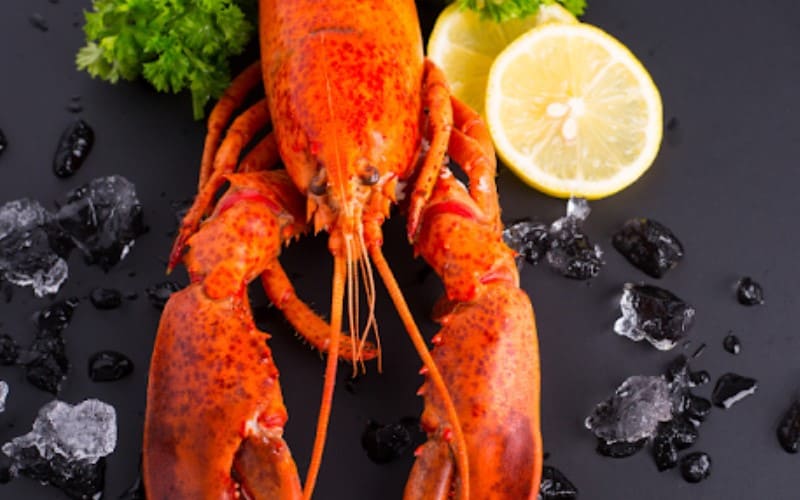 a lobster with lemon and ice