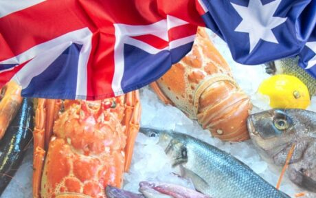 a close-up of a variety of fish and seafood