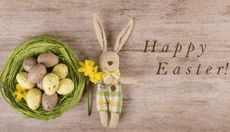 a bunny doll and eggs in a nest