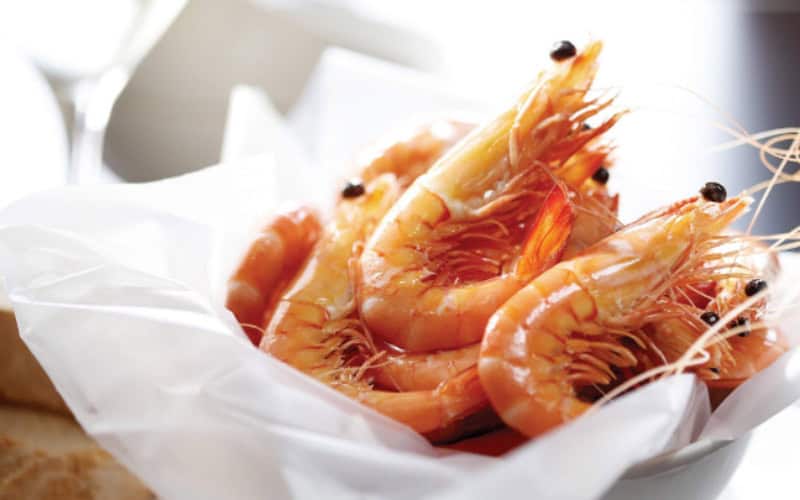 a close-up of a shrimp