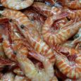 Australian Tiger Prawns