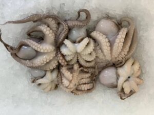 a group of octopuses on ice