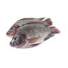 Whole Cleaned TIlapia
