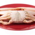 white crab meat jumbo 1