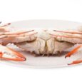 white crab meat jumbo 2