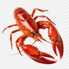 Crawfish