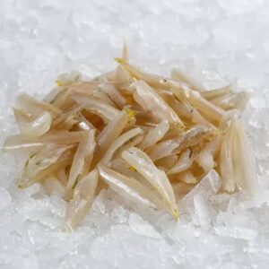 a pile of small fish on ice