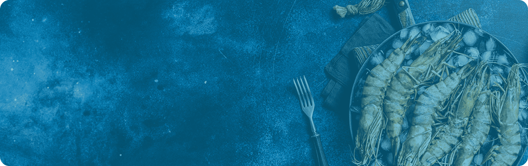 Frame 113