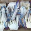 Half Cut Blue Swimmer Crab