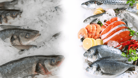 a group of fish and shrimp on ice