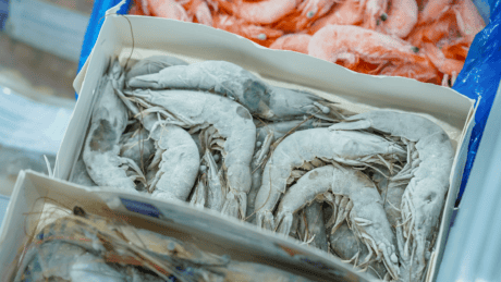 a group of frozen shrimp in a box