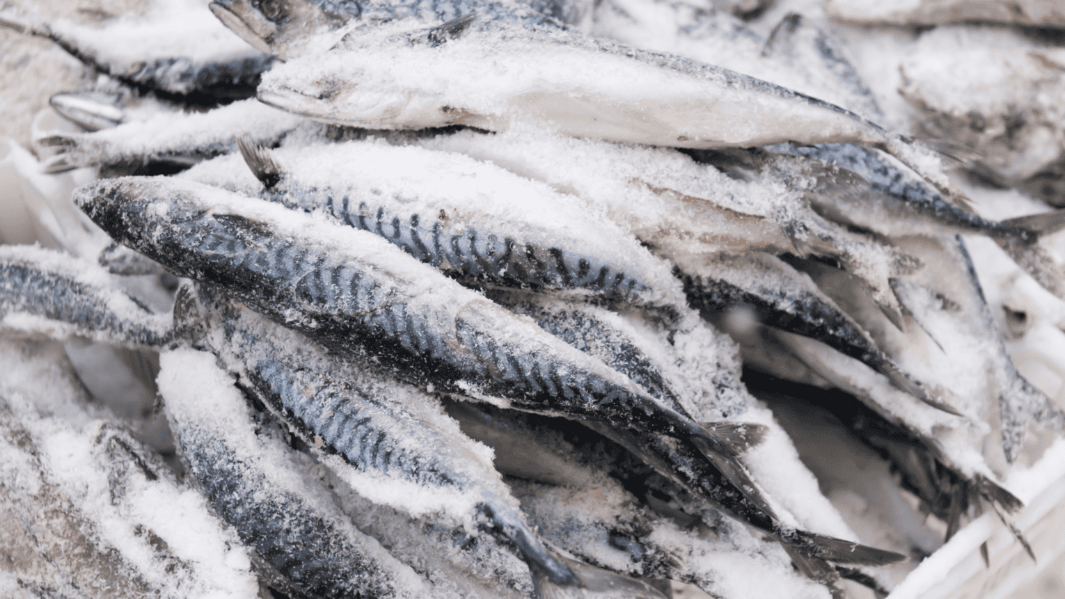 a pile of frozen fish