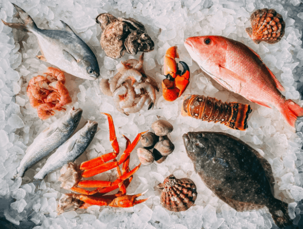 Seafood Power: Ultimate Superfood | Seafood Factory Outlet