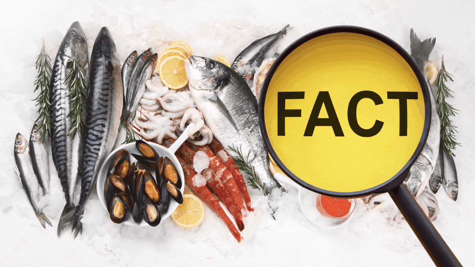 a group of fish and seafood on ice