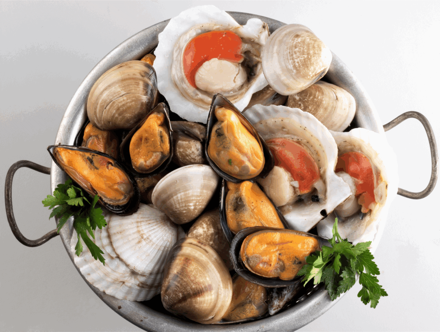 a bowl of clams and shells