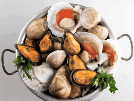 a bowl of clams and shells