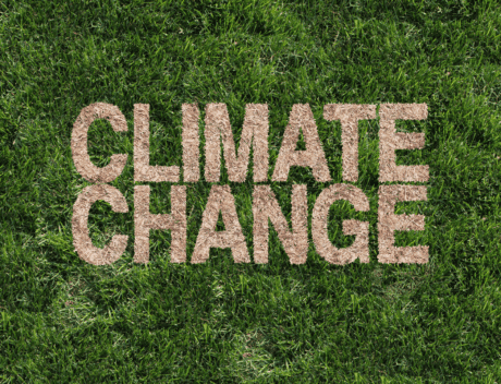 a word written in grass