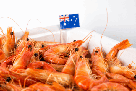 a pile of shrimp in a container