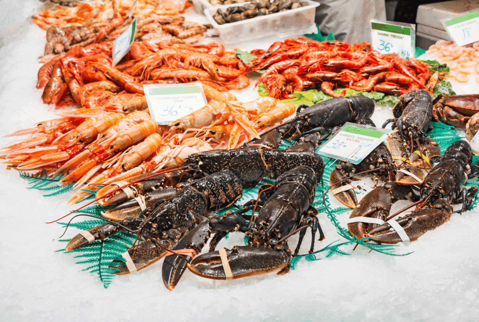 lobster lobsters and lobsters on ice