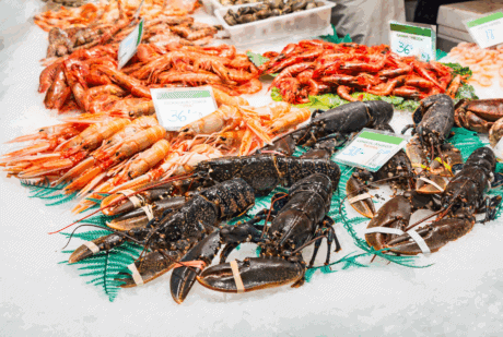 lobster lobsters and lobsters on ice