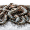 Black Tiger Prawn
