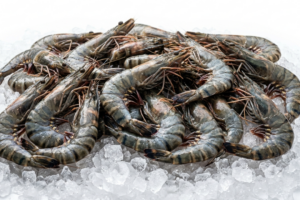 Black Tiger Prawn
