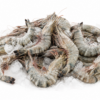 Sea Tiger Prawn