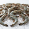 Sea Tiger Prawn