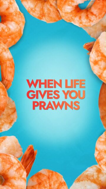 Whether you love them for a quick stir-fry or a big family feast, we have a great range of prawns and shrimps here at Seafood Factory Outlet! From massive tiger prawns to convenient peeled options, we have the perfect variety to make your next meal easy and delicious. 

Come visit our shop at 41 Clapham Rd, Regents Park, or order online for a quick pickup today! 

#SeafoodFactoryOutlet #Prawns #ShrimpLover #EasyCooking #ShopLocal #RegentsPark #FrozenSeafood