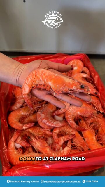 Limited-time offer 📢 📢 

Watch the video to check out our latest deal: get 2 x 3kg boxes of Jumbo Whole Cooked Vannamei Prawns for only $160!

Sweet, tender, and fully cooked—simply thaw and serve for effortless weekend lunches, family get-togethers, or upcoming holiday celebrations.

This offer is available for a limited time only, so stock up your freezer while stocks last and be ready for your end-of-year hosting!

🛒 Click and collect in-store at 41 Clapham Rd, Regents Park, New South Wales, 2143.

#VannameiPrawns #CookedPrawns #SydneySeafood #ClickAndCollect #RegentsPark #SeafoodFactoryOutlet #SydneyLocals