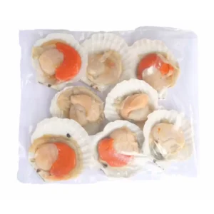 Scallop with Roe On